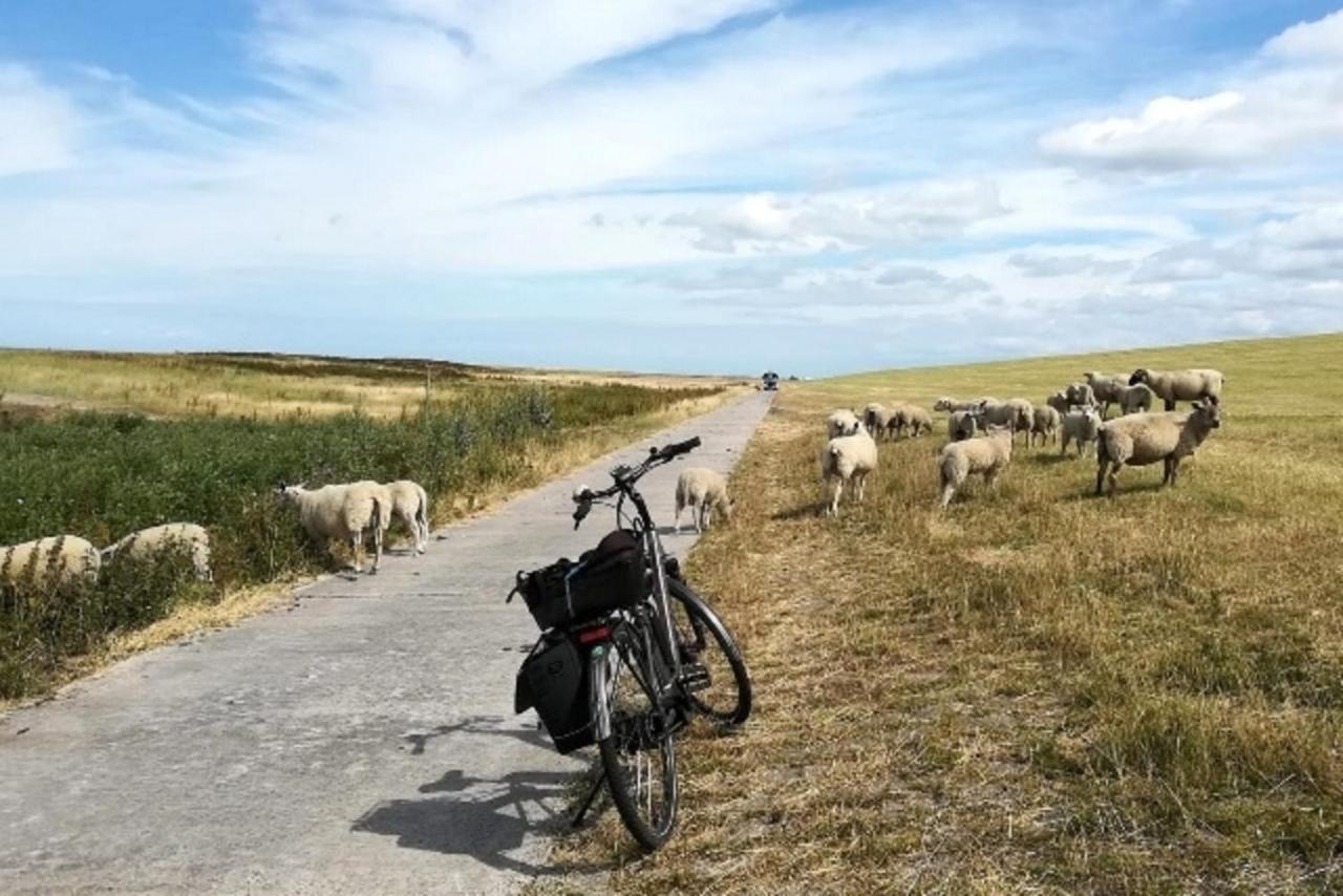 ヴィットムント Aseler Nordseestubeヴィラ エクステリア 写真