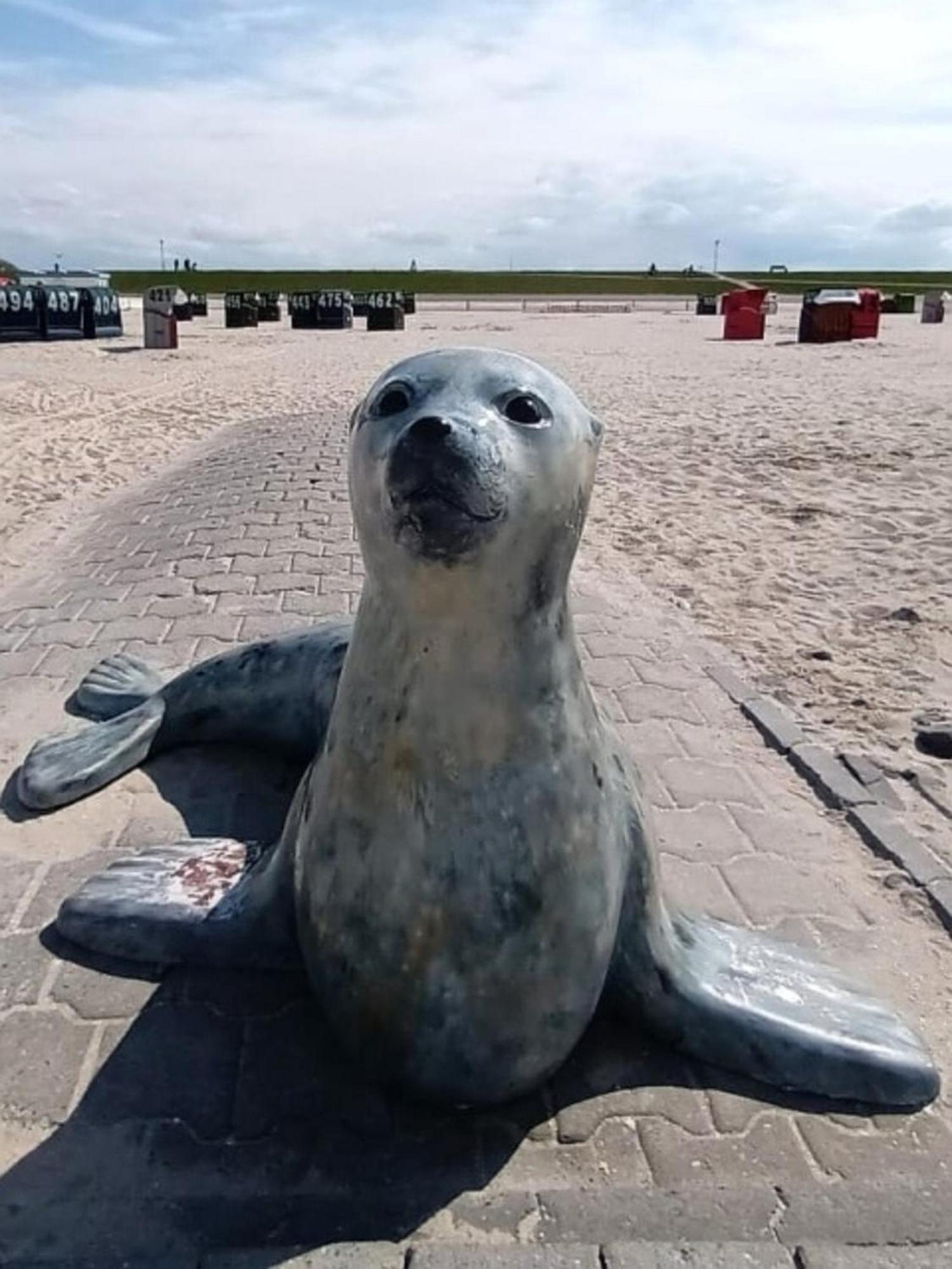 ヴィットムント Aseler Nordseestubeヴィラ エクステリア 写真